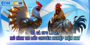 Đá Gà CPC Là Gì? Mô Hình Thi Đấu Chuyên Nghiệp Hiện Nay